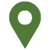 Search Icon